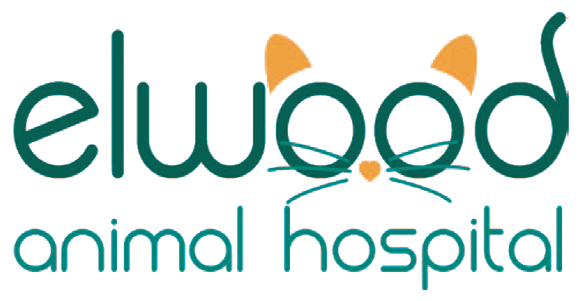 Elwood Animal Hospital