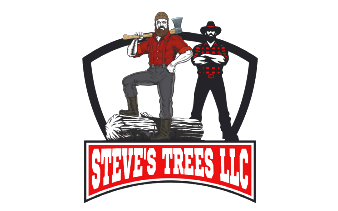 Steve’s Trees