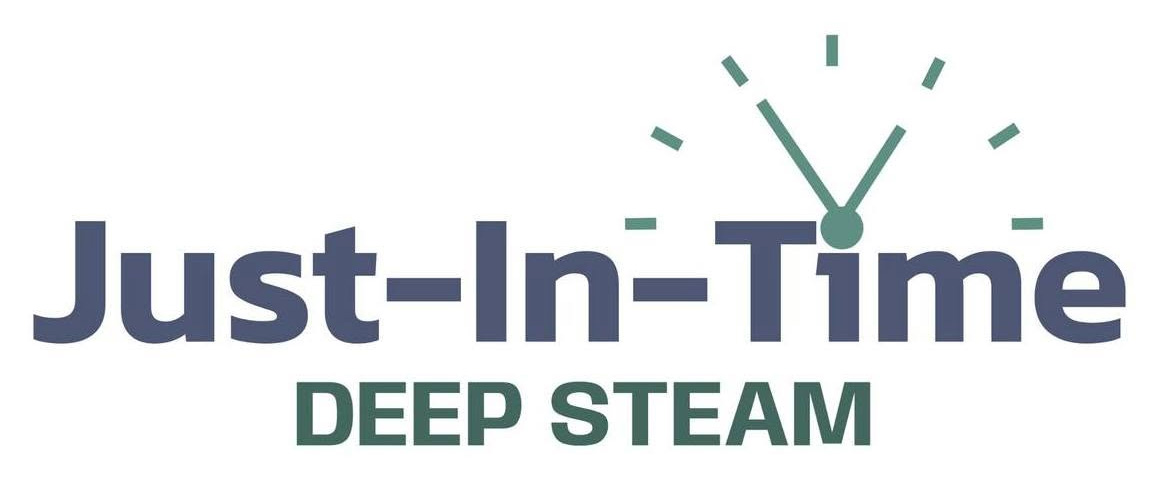 Just-In-Time Deep Steam